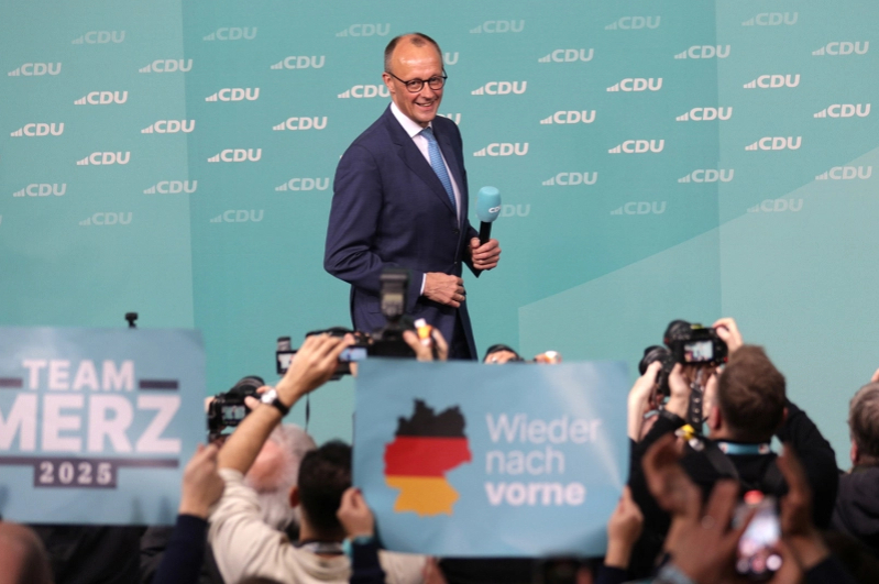 Friedrich Merz, Alemania