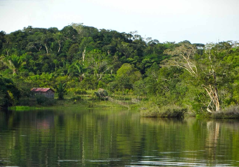 Amazonía