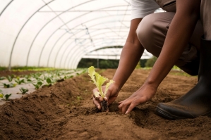 Agricultura