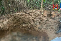 8 líderes en fosa común