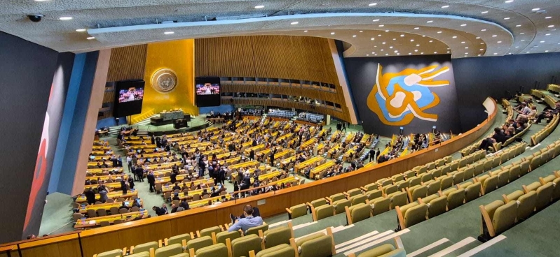 Asamblea General de las Naciones Unidas (ONU)