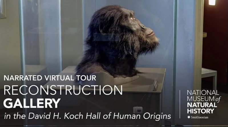 Simio - Humano en el Museo Smithsoniano