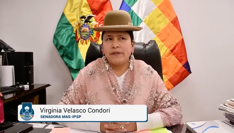 senadora Virginia Velasco Condori