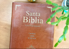 informe sobre lectura biblica