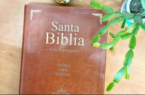 informe sobre lectura biblica