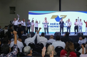 Partido político México Tiene Vida