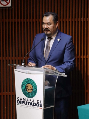 Diputado Asael Hernández Cerón