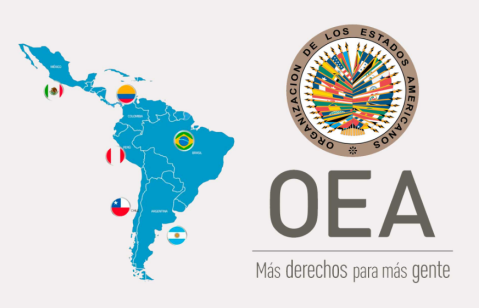 OEA - sociedad civil