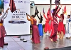 Nica danzas