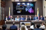 Ley Laura