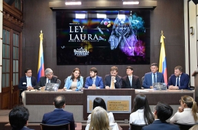 Ley Laura