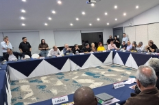 Junta Directiva de AEL