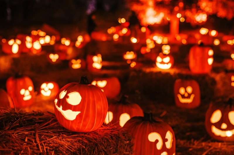 Calabazas brillan de manera misteriosa bajo el cielo nocturno de otoño durante las celebraciones de Halloween