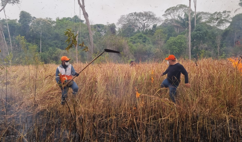 Amazonía bajo fuego: familias y niños en riesgo por incendios y crisis climática
