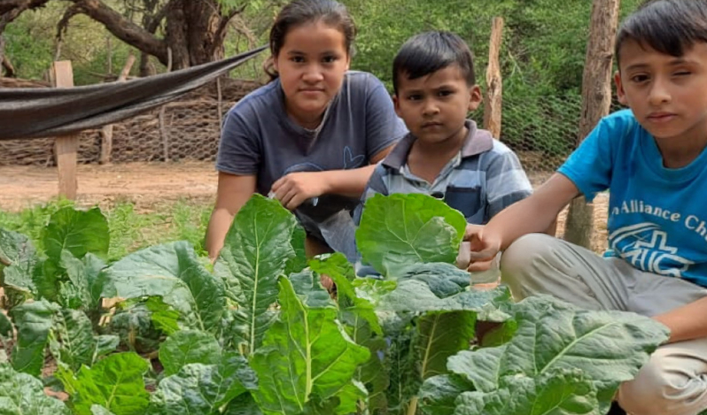 Transformando vidas de familias vulnerables en Bolivia a través de huertos urbanos