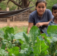 Transformando vidas de familias vulnerables en Bolivia a través de huertos urbanos