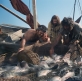 Jesus Film Project alcanza las 2.200 lenguas con la publicación de un nuevo dialecto