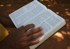 El movimiento global de traducción de la Biblia alcanza hitos históricos