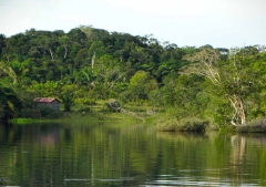 Médicos misioneros llevan salud y esperanza a comunidades indígenas de la Amazonía peruana