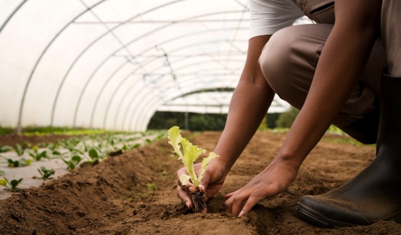 Congregaciones en Bogotá, Quito y Lima invierten en agricultura para combatir la inflación