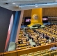 ONU impulsa aborto para adolescentes y reaviva debate por los derechos de los padres