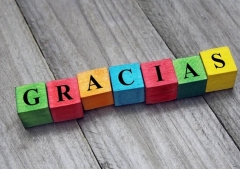 La gratitud es un poder que puede cambiarlo todo