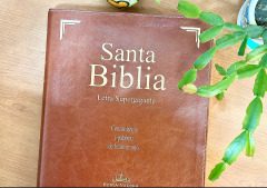 Informe global revela cómo el mundo se relaciona con la Biblia