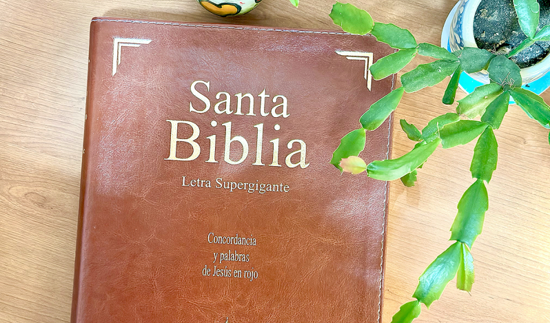 Informe global revela cómo el mundo se relaciona con la Biblia