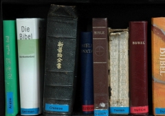 ¿Habla Dios mi idioma? Identidad, valor y propósito a través de la Biblia