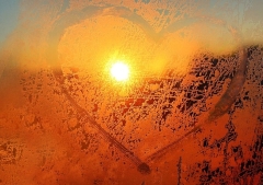 ¿Qué es el amor real? Cinco pilares cristianos para fortalecer las relaciones