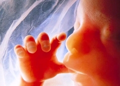 Mayoría de público en Reino Unido apoya protección legal para bebés no nacidos