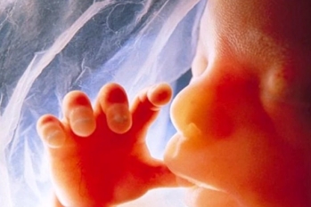 Mayoría de público en Reino Unido apoya protección legal para bebés no nacidos