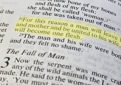 Líderes evangélicos de Asia analizan respuesta pastoral a la homosexualidad