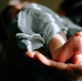 El mundo no está superpoblado: tenga más hijos