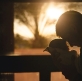 Lo que el funeral de mi padre me enseñó sobre la crisis de la paternidad