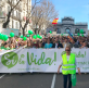 Organizaciones provida marcharán en Madrid contra el aborto y la eutanasia