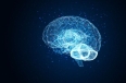 La neuro-plasticidad no prueba a la Biblia, pero dialoga con ella de forma asombrosa