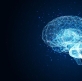 La neuro-plasticidad no prueba a la Biblia, pero dialoga con ella de forma asombrosa
